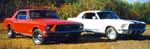 68 Ford Mustang Coupes